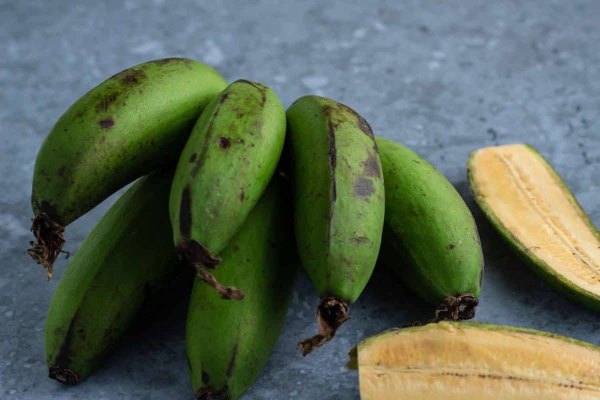 Green matoke | Green East African Highland banana