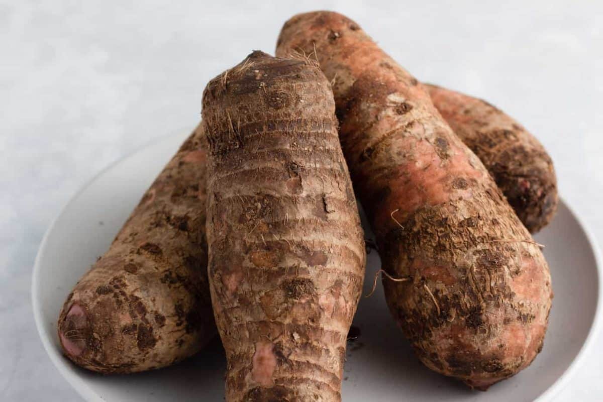 Cocoyam (Xanthosoma Sagittifolium) · eat well abi