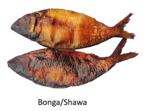 Bonga. Shawa Dried Fish